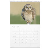 2018年のフクロウの恋人の壁掛けカレンダー カレンダー (3月 2027)