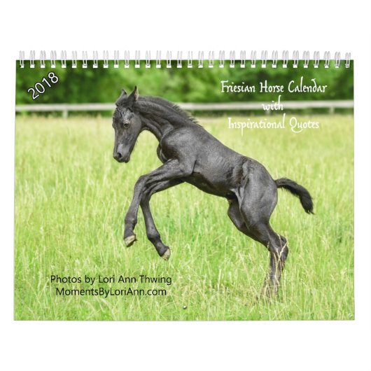 2018年の感動的なFriesianの馬のカレンダー カレンダー (カバー)