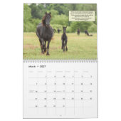 2018年の感動的なFriesianの馬のカレンダー カレンダー (3月 2027)