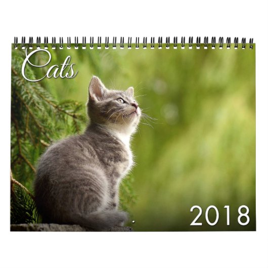 2018年の猫および子ネコのカレンダー カレンダー (カバー)