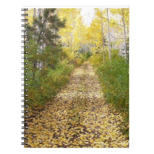 2018年の離れ道 ノートブック (正面)