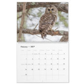 2018年の~のトムの脊柱の写真撮影のための12羽の鳥 カレンダー (2月 2027)