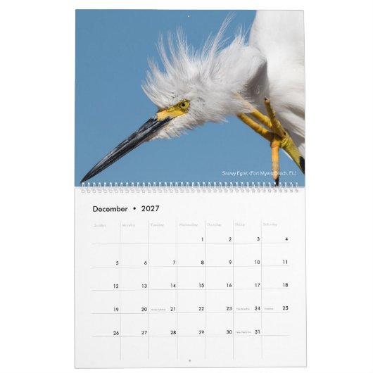 2018年の~のトムの脊柱の写真撮影のための12羽の鳥 カレンダー (12月 2027)