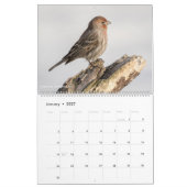 2018年の~のトムの脊柱の写真撮影のための12羽の鳥 カレンダー (1月 2027)