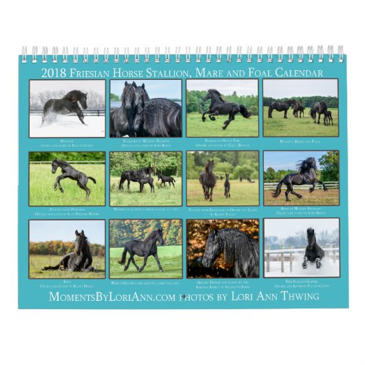 2018年のFriesianのロバ、子馬および種馬のカレンダー カレンダー (裏面)