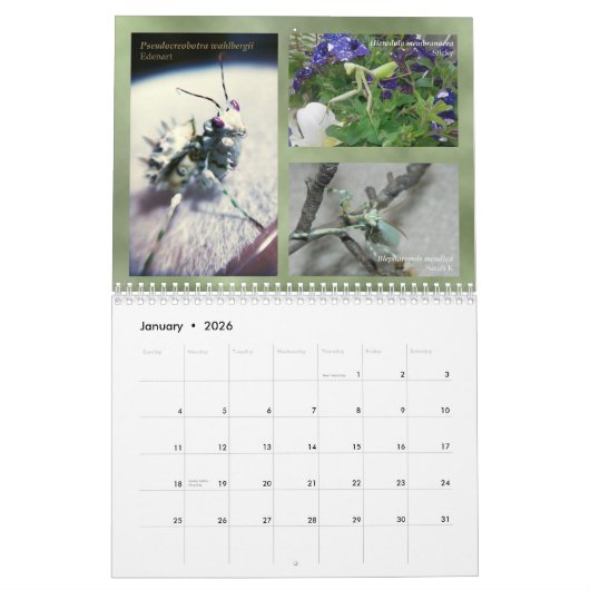 2018年のMantidforum.netの壁掛けカレンダー カレンダー (1月 2026)