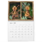 2018年のMantidforum.netの壁掛けカレンダー カレンダー (3月 2027)