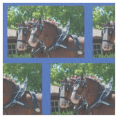2018年のMule Days Parade司教 ファブリック (クローズアップ)