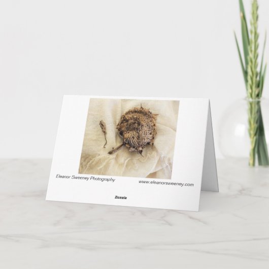 2018年ひまわり干頭布 カード (裏面)