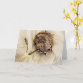 2018年ひまわり干頭布 カード (黄色い花)