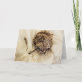 2018年ひまわり干頭布 カード (正面)