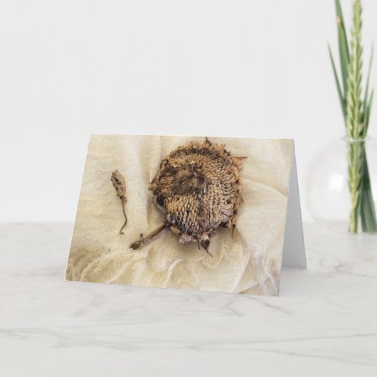 2018年ひまわり干頭布 カード (正面)