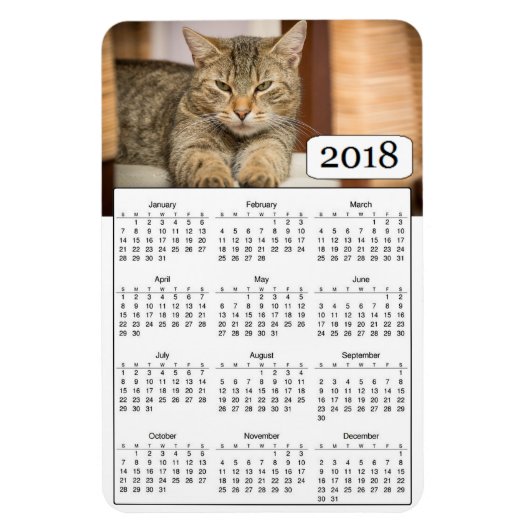 2018年カレンパーソナライズされたダー猫フォトマグネット マグネット (縦)