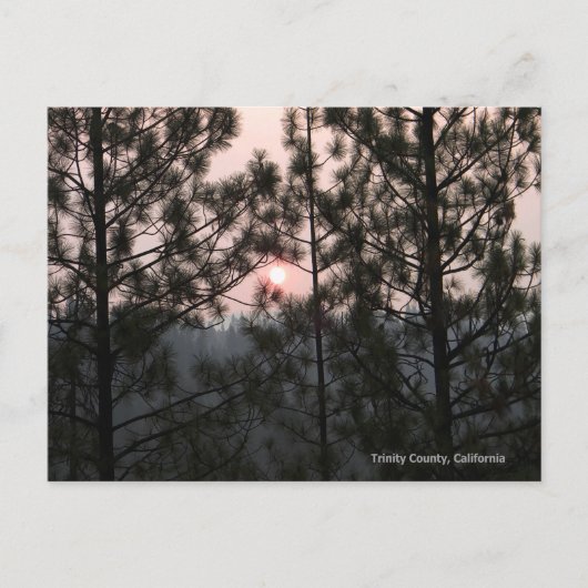 2018年カー火災日の出… ポストカード (正面)