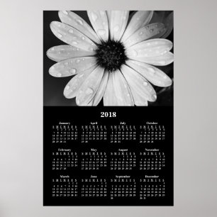 2018年壁掛けカレンダー アフリカンデイジー ポスター