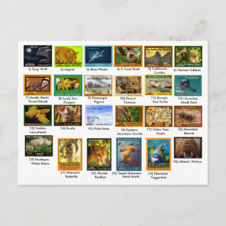 2018年3月31日、指数ページ、24パック ポストカード