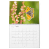 2018蝶カレンダー カレンダー (3月 2027)