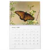 2018蝶カレンダー カレンダー (1月 2027)