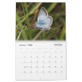 2018蝶カレンダー カレンダー (1月 2026)