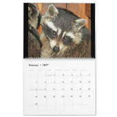 2018野生の青のアライグマの野生動物の救助 カレンダー (2月 2027)