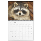 2018野生の青のアライグマの野生動物の救助 カレンダー (3月 2027)