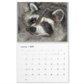 2018野生の青のアライグマの野生動物の救助 カレンダー (1月 2027)
