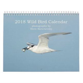 2018野生の鳥のカレンダー カレンダー