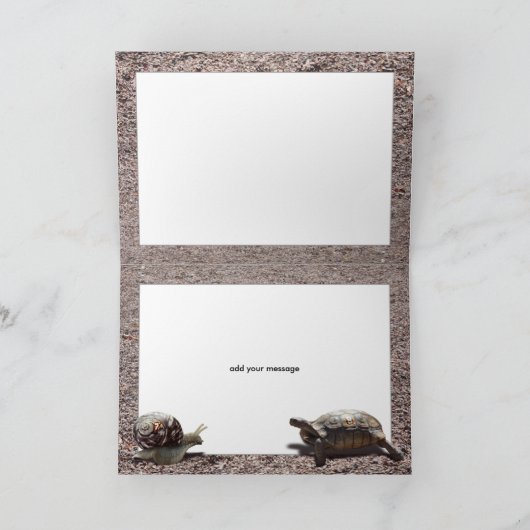 2018.素晴らし亀とカタツムリの種族 カード (内部)