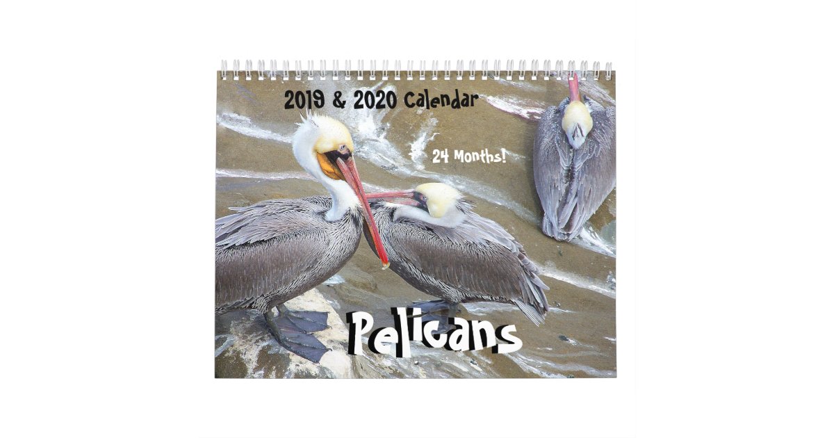 19匹の年のペリカンの鳥の野性生物動物のカレンダー カレンダー Zazzle Co Jp