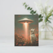 2019かわいらし.白い猫とUFO ポストカード (スタンド正面)
