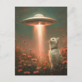 2019かわいらし.白い猫とUFO ポストカード (正面)