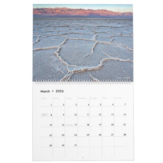 2019の一年生植物自然の写真撮影のカレンダー カレンダー (3月 2026)