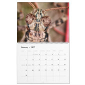 2019の目が飛び出た美しいのマクロ写真撮影のカレンダー カレンダー (2月 2027)