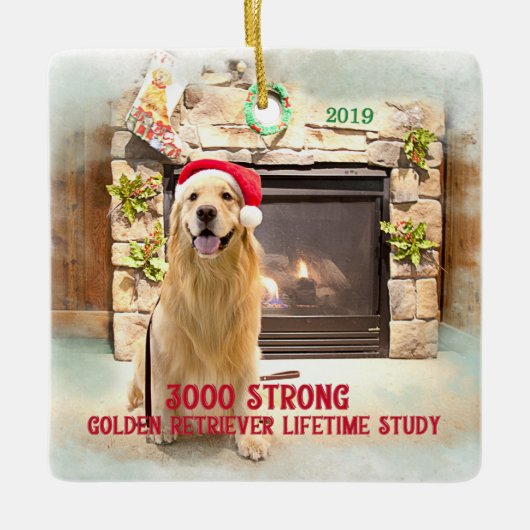 2019クリスマスオーナメント – 3000強 セラミックオーナメント (正面)