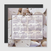 2019シェルズサンドドルミニマグネットカレンダー (正面/裏面)