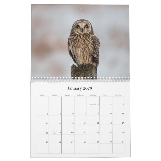 2019人の北米人のフクロウの壁掛けカレンダー カレンダー (1月 2026)