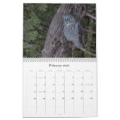 2019人の北米人のフクロウの壁掛けカレンダー カレンダー (2月 2026)