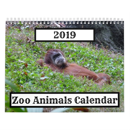 2019動物園の動物カレンダー カレンダー (カバー)