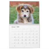 2019匹の愛らしいベビー動物 カレンダー (1月 2027)
