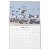 2019匹の2020年のペリカンの鳥の野性生物動物のカレンダー カレンダー (1月 2027)