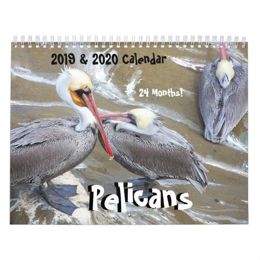 2019匹の2020年のペリカンの鳥の野性生物動物のカレンダー カレンダー (カバー)