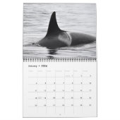 2019南あるシャチのカレンダー カレンダー (1月 2026)