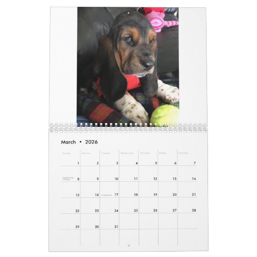 2019年のバセットハウンドの子犬のカレンダー カレンダー (3月 2026)