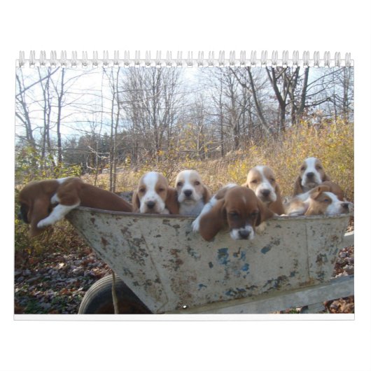 2019年のバセットハウンドの子犬のカレンダー カレンダー (カバー)