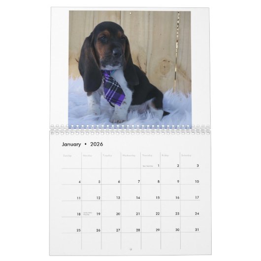 2019年のバセットハウンドの子犬のカレンダー カレンダー (1月 2026)