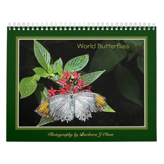 * 2019年の世界の蝶壁掛けカレンダー カレンダー (カバー)