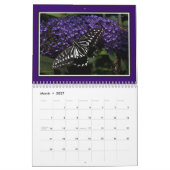 * 2019年の世界の蝶壁掛けカレンダー カレンダー (3月 2027)