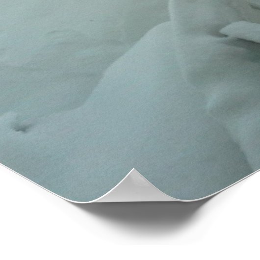 2019年の冬の生命を脅かす天気 ポスター (角)