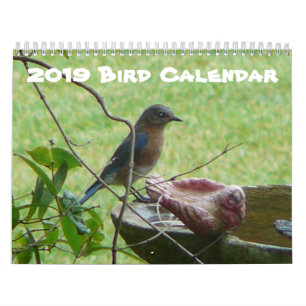 2019年の鳥のカレンダー カレンダー