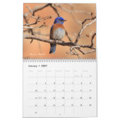 2019年の鳴き鳥の写真撮影 カレンダー (1月 2027)